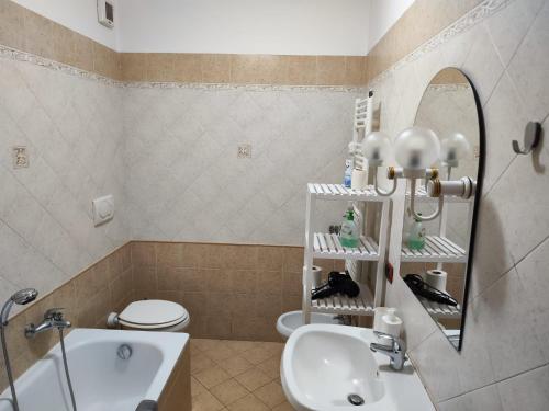 La salle de bains est pourvue d'un lavabo, de toilettes et d'un miroir. dans l'établissement Appartamento Magnolia, à Pomezia
