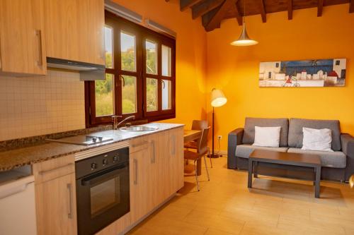 a kitchen with a sink and a couch in a room at Apartamentos La Güertona in Sardalla