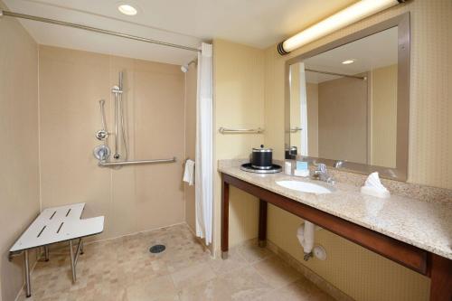 a bathroom with a sink and a shower and a mirror at Hampton Inn Raleigh/Durham Airport in Morrisville