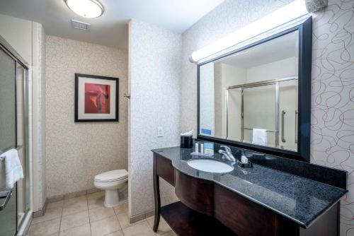 ein Badezimmer mit einem Waschbecken, einem WC und einem Spiegel in der Unterkunft Hampton Inn Richmond - Airport in Sandston