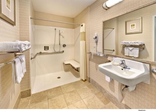 a bathroom with a sink and a shower at Hampton Inn & Suites Reno in Reno