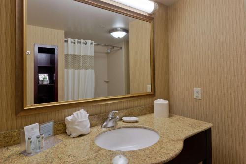 a bathroom with a sink and a large mirror at Hampton Inn Rochester-Webster in Webster