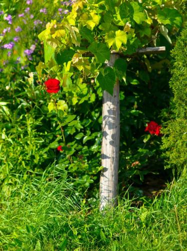 a wooden post with flowers in a garden at Apartament Zacisze in Uherce Mineralne