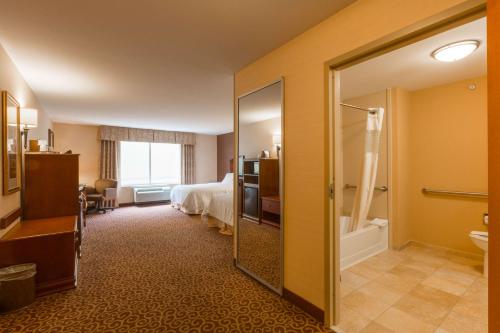 Habitación de hotel con cama y baño en Hampton Inn Goshen, en Goshen