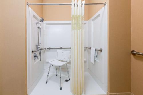 a bathroom with a shower and a stool in it at Hampton Inn Goshen in Goshen