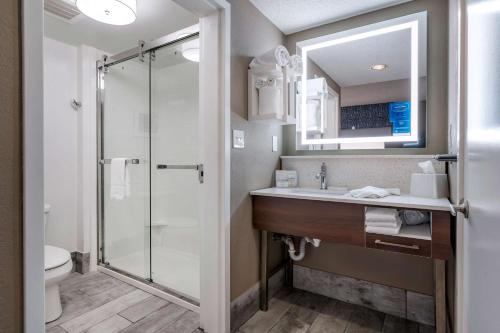 a bathroom with a sink and a shower at Hampton Inn & Suites Louisville East in Louisville