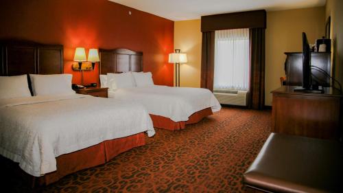 マタモラスにあるHampton Inn Matamorasのベッド2台とテレビが備わるホテルルームです。