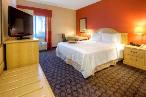 um quarto de hotel com uma cama e uma televisão de ecrã plano em Hampton Inn Fremont em Fremont