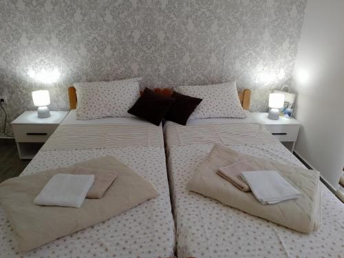 two twin beds in a bedroom with two lamps at Vila Milica in Kladovo