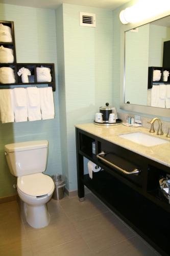 a bathroom with a toilet and a sink and a mirror at Hampton Inn Shreveport-Airport in Shreveport