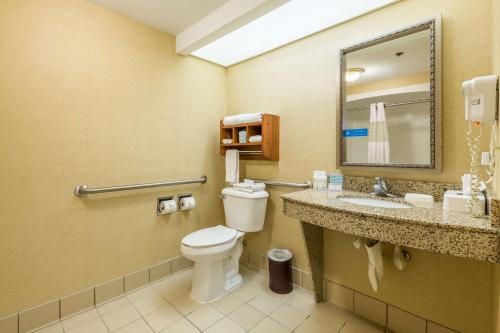 a bathroom with a toilet and a sink and a mirror at Hampton Inn Sidney in Sidney