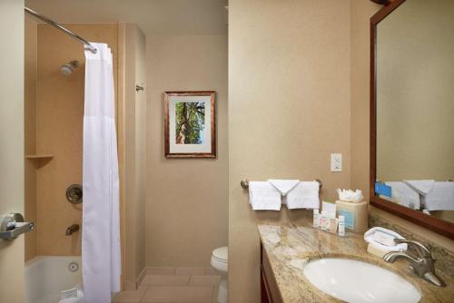 y baño con lavabo, aseo y ducha. en Hampton Inn and Suites Salem, en Salem