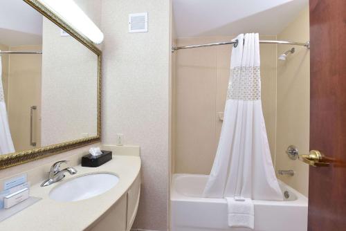 y baño con lavabo blanco y ducha. en Hampton Inn Selma en Selma