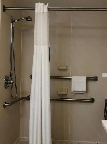 a shower with a white shower curtain in a bathroom at Hampton Inn by Hilton Spring Hill in Timber Pines