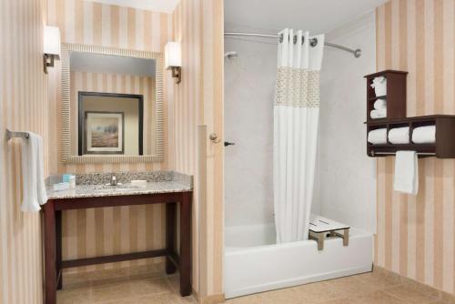 a bathroom with a tub and a sink and a shower at Hampton Inn Spearfish in Spearfish