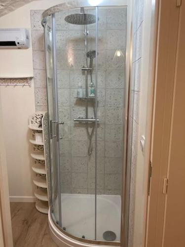 une douche avec une porte vitrée dans une salle de bain dans l'établissement Les Matelles : charmant logement en pierres, à Les Matelles
