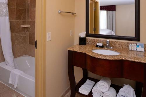 ein Badezimmer mit einem Waschbecken, einer Badewanne und einem Spiegel in der Unterkunft Hampton Inn Lincoln in Lincoln