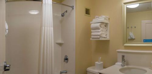a bathroom with a shower and a sink and a toilet at Hampton Inn St. Louis-Chesterfield in Chesterfield