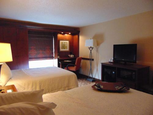 TV o dispositivi per l'intrattenimento presso Hampton Inn & Suites Cleveland-Southeast-Streetsboro