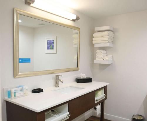 a bathroom with a sink and a large mirror at Hampton Inn Sumter in Sumter