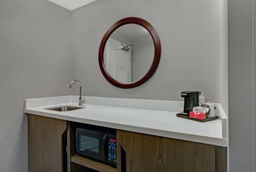 a bathroom with a sink and a mirror at Hampton Inn & Suites by Hilton Syracuse Dewitt in East Syracuse