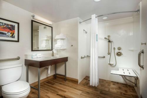 a bathroom with a toilet and a sink and a shower at Hampton Inn Tuscaloosa - East in Tuscaloosa