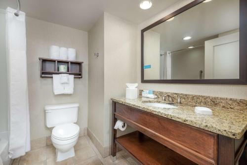 Bagno di Hampton Inn Tuscaloosa - East
