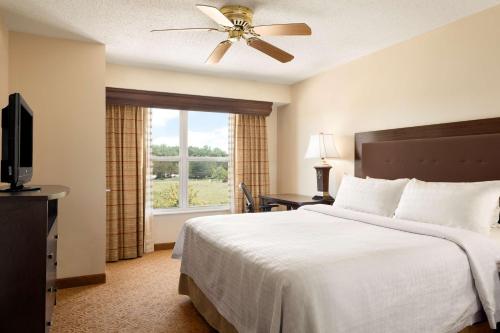 a bedroom with a bed and a television and a window at Homewood Suites by Hilton Toledo-Maumee in Maumee