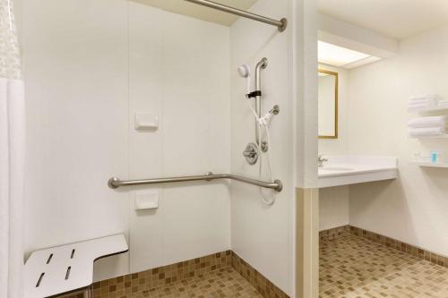 a bathroom with a shower and a sink at Hampton Inn & Suites Tarpon Springs in Tarpon Springs