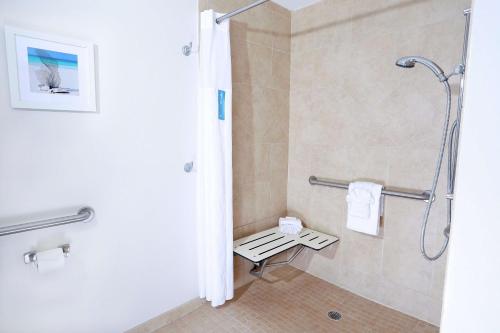 a bathroom with a shower and a bench in it at Hampton Inn & Suites Tampa-Wesley Chapel in Wesley Chapel