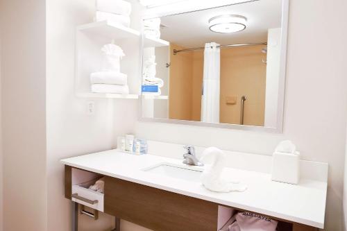 a bathroom with a sink and a mirror at Hampton Inn & Suites Tampa-Wesley Chapel in Wesley Chapel