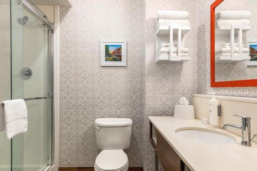 Hampton Inn & Suites Valparaiso في فالبارايسو: حمام مع مرحاض ومغسلة ودش
