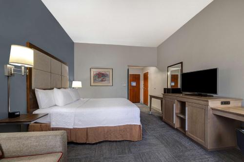 um quarto de hotel com uma cama e uma televisão de ecrã plano em Hampton Inn Victoria em Victoria