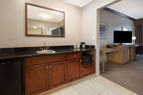 a bathroom with a sink and a mirror at Hampton Inn Victoria in Victoria