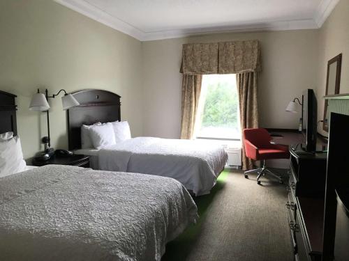 a hotel room with two beds and a window at Hampton Inn Vidalia in Vidalia