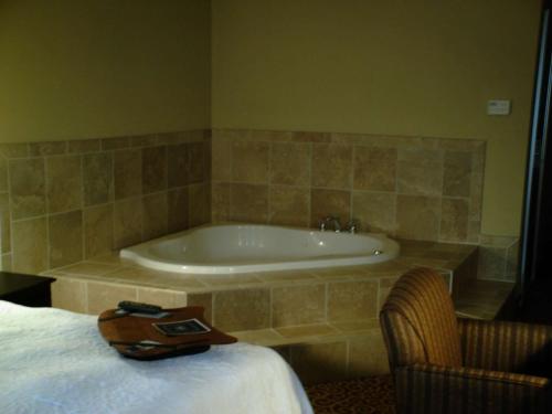 a bathroom with a tub and a bed in a room at Hampton Inn Vidalia in Vidalia