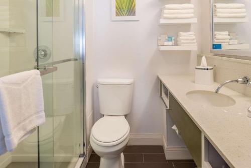 a bathroom with a toilet and a shower and a sink at Hampton Inn Los Angeles-West Covina in West Covina