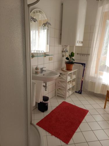 łazienka z umywalką i czerwonym dywanem w obiekcie Ferienwohnung Murtal w mieście Sankt Lorenzen bei Knittelfeld