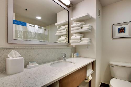 a bathroom with a sink and a mirror and a toilet at Hampton Inn Warner Robins in Warner Robins