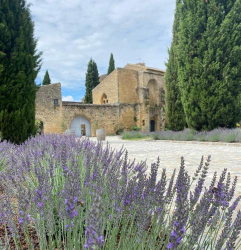 an old stone building with a field of purple flowers at Château Saint-Pierre de Mejans in Puyvert