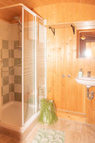 a bathroom with a shower and a sink at Moerenhof Schlafwagen "Pferdewiese" Xanten in Xanten
