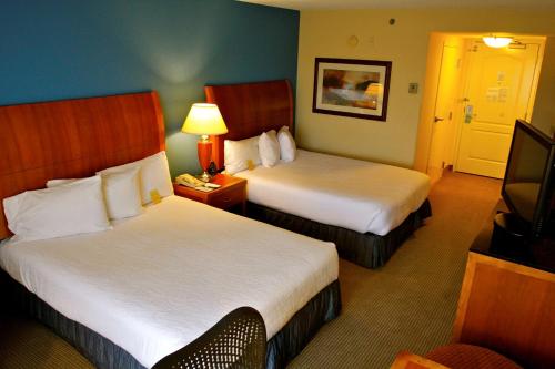 a hotel room with two beds and a television at Hilton Garden Inn Albany in Albany