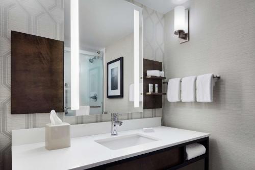 een badkamer met een wastafel en een spiegel bij Hilton Garden Inn Allentown West in Breinigsville