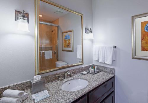 a bathroom with a sink and a mirror at Hilton Waco in Waco