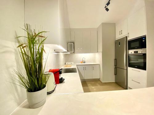 a white kitchen with a potted plant on a counter at Villa Pami in Almiros Beach