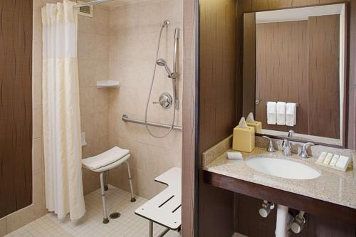 een badkamer met een wastafel en een douche bij Hilton Garden Inn Albany Airport in Latham