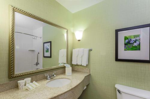 a bathroom with a sink and a mirror at Hilton Garden Inn Anchorage in Anchorage
