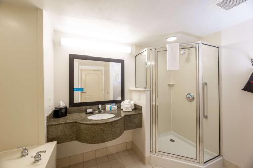 een badkamer met een wastafel en een douche bij Hampton Inn Lawrenceville Duluth in Lawrenceville