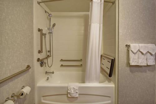 a bathroom with a shower and a toilet and a sink at Hampton Inn Atlanta-Mall Of Georgia in Buford