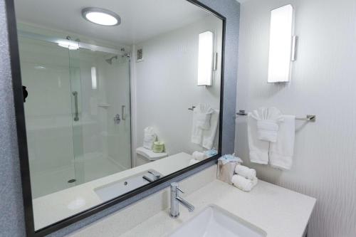 a bathroom with a sink and a shower and a mirror at Hilton Garden Inn Atlanta Marietta in Atlanta